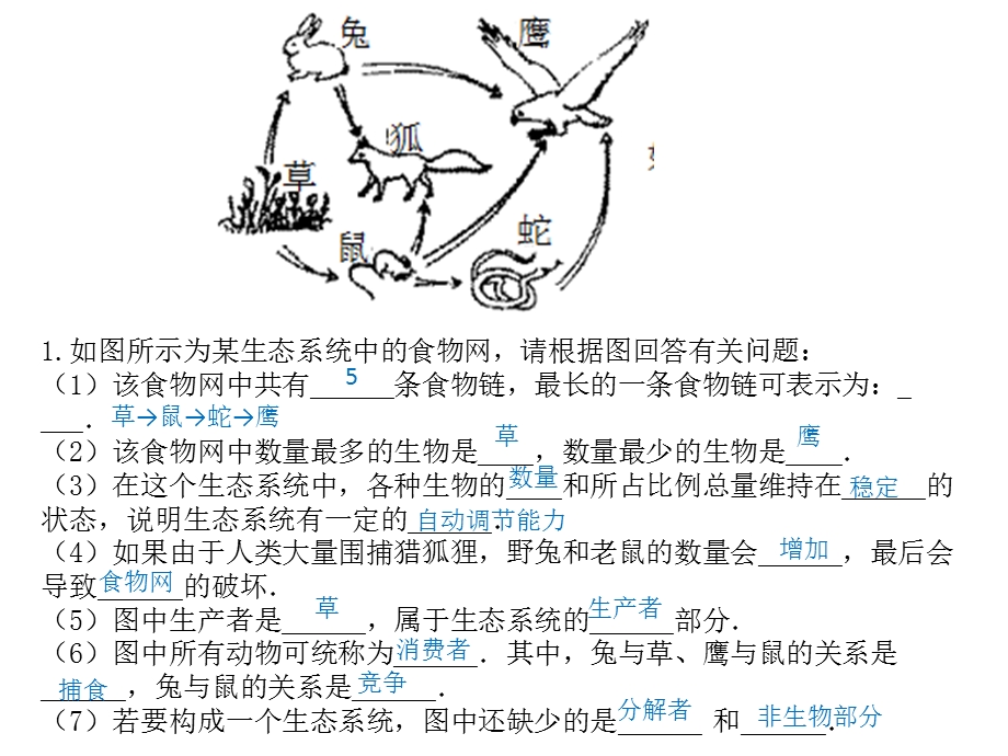 人教版七年级生物上册综合大题.ppt_第1页