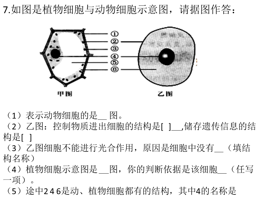 人教版七年级生物上册综合大题.ppt_第2页