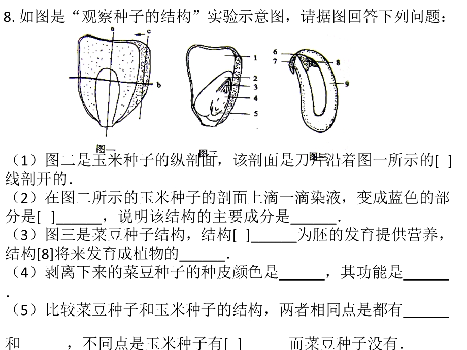 人教版七年级生物上册综合大题.ppt_第3页