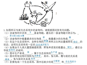 人教版七年级生物上册综合大题.ppt