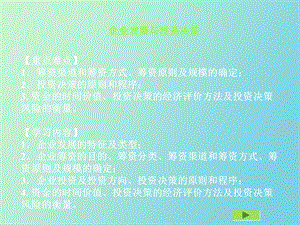 企业发展与投资决策.ppt