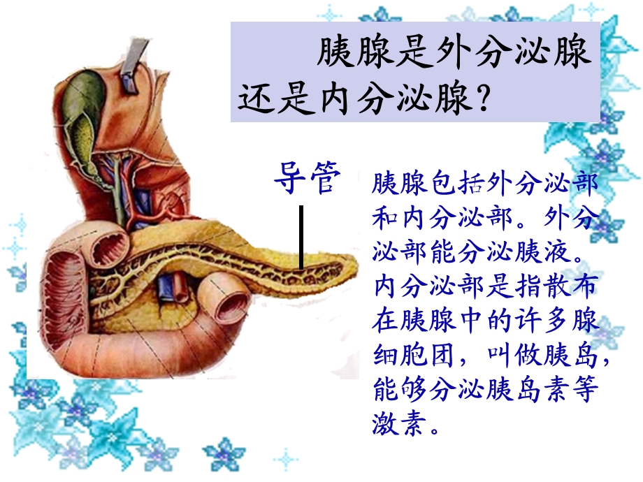 人体生命活动的调节-神经调节第二～三节.ppt_第1页