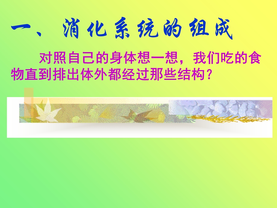 人体的消化与吸收(na)概述.ppt_第2页