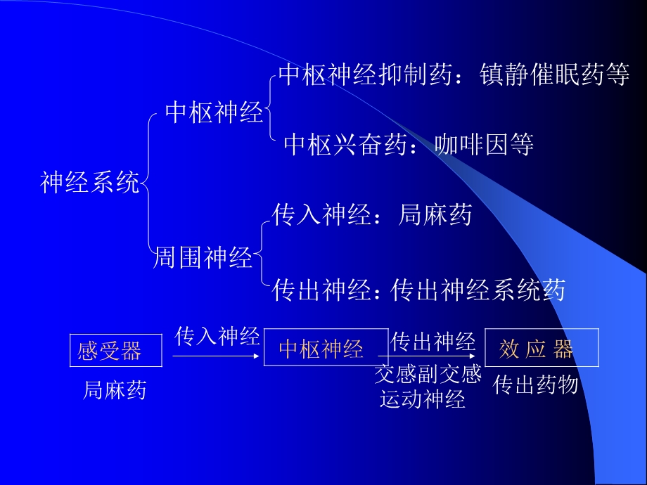 作用于传出神经系统药物.ppt_第2页