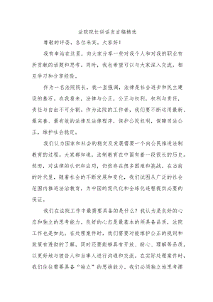 法院院长讲话发言稿精选.docx