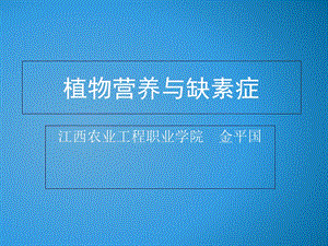 作物营养与缺素症.ppt