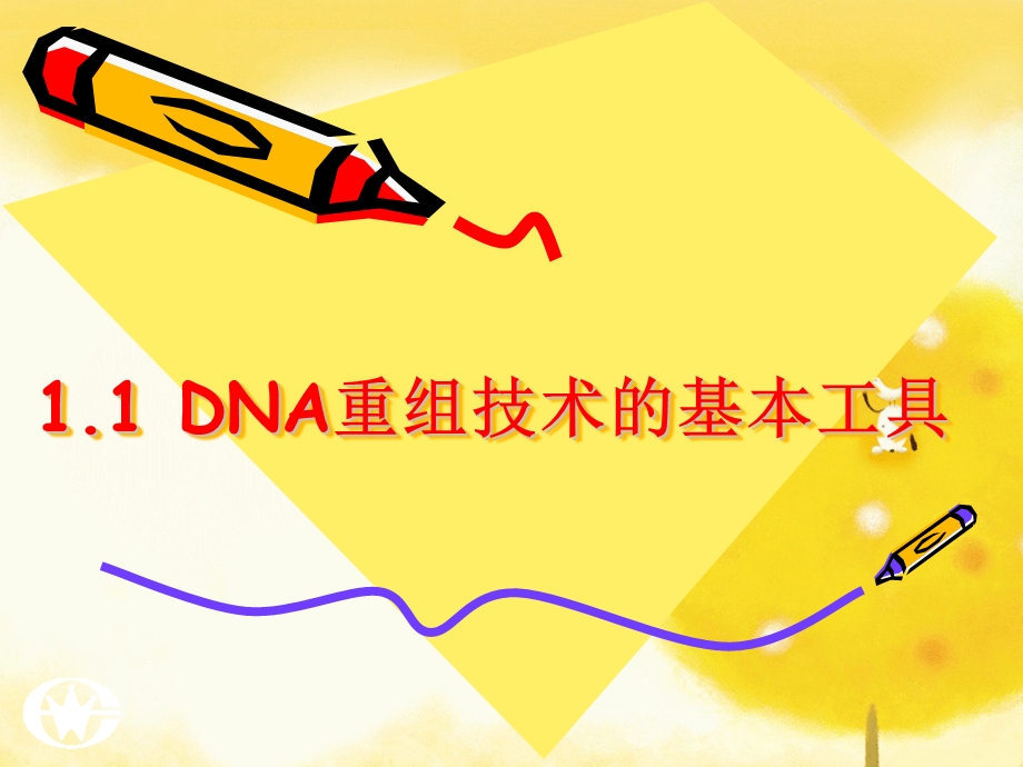 人教版教学课件1.1DNA重组技术的基本工具.ppt_第1页