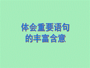 体会重要语句的含义.ppt