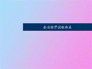 企业经营流程体系.ppt