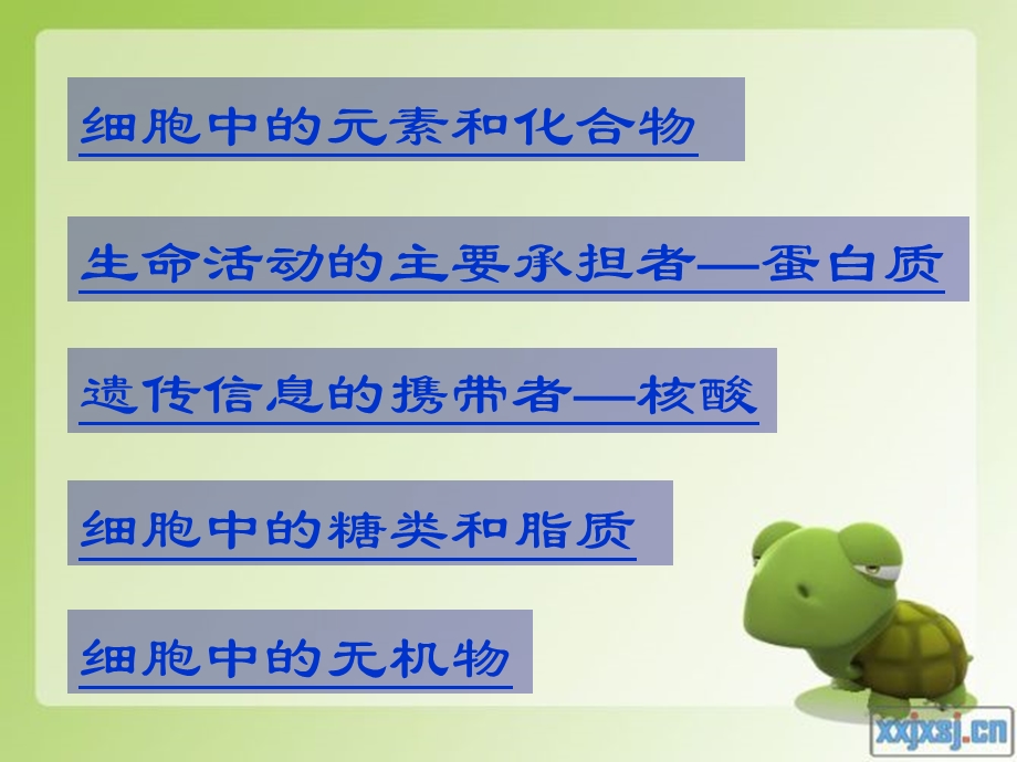 使用细胞中的元素和化合物.ppt_第2页