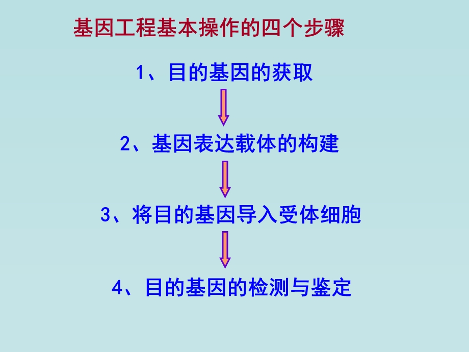 人教版教学课件基因工程基本操作程序.ppt_第3页