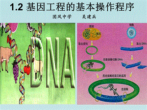 人教版教学课件基因工程基本操作程序.ppt