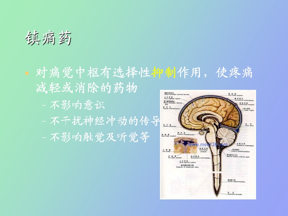 中枢神经镇痛药.ppt_第2页