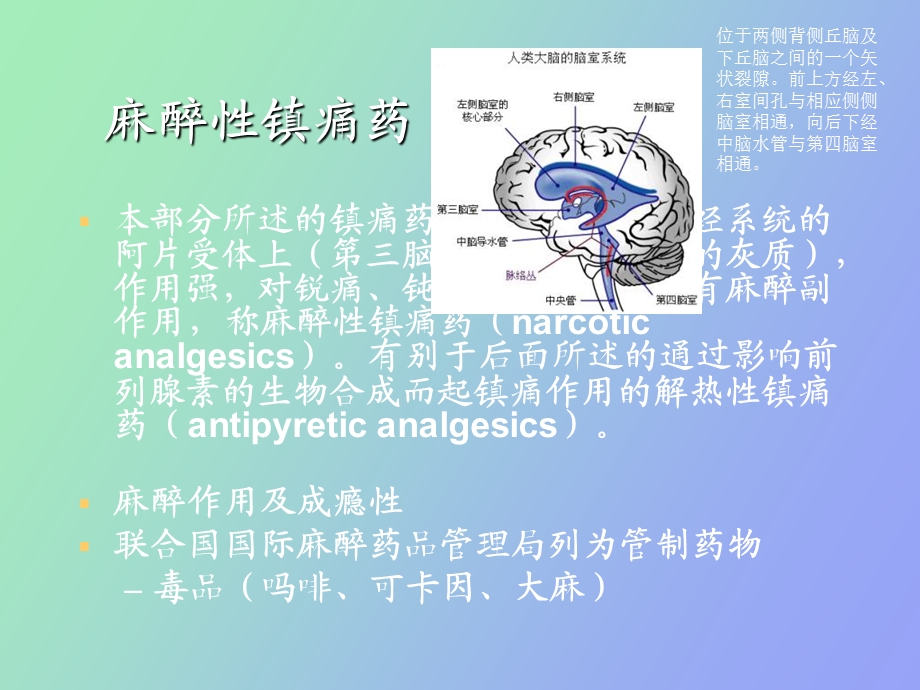 中枢神经镇痛药.ppt_第3页