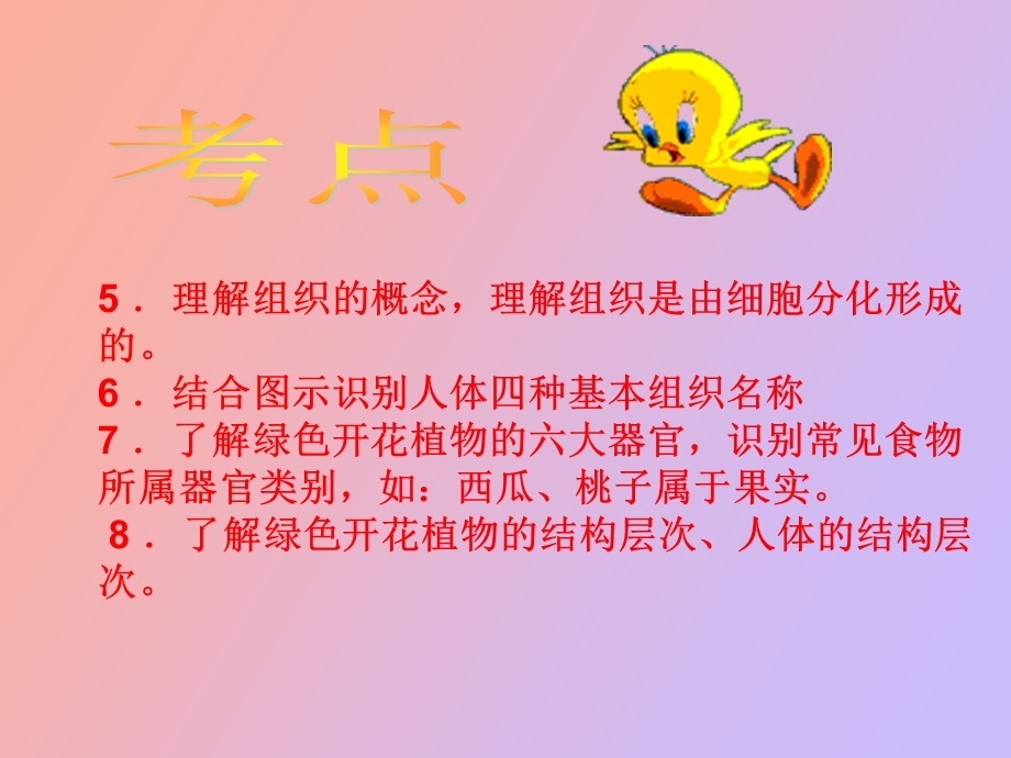 主题二生物体结构层次.ppt_第3页