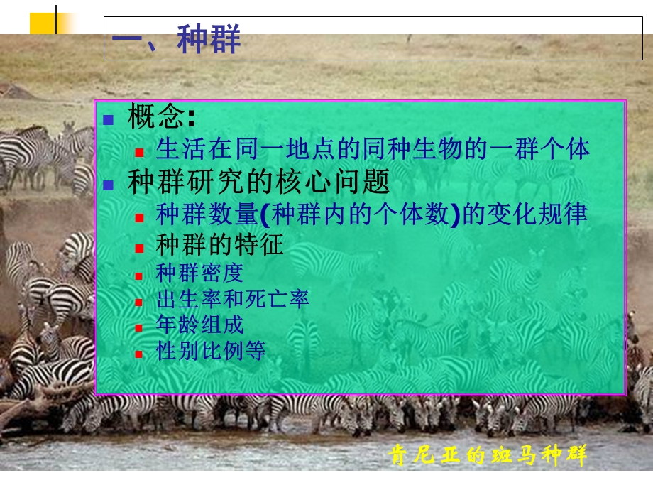 人教版教学课件第四章种群和群落第一节种群的特征.ppt_第3页