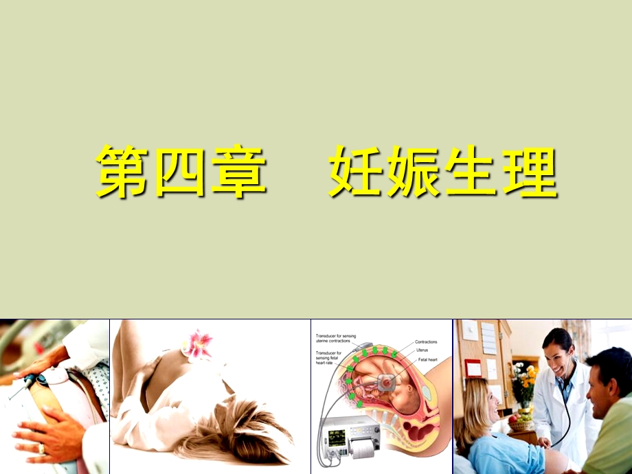 临床妇产科学第四章妊娠期生理.ppt_第1页