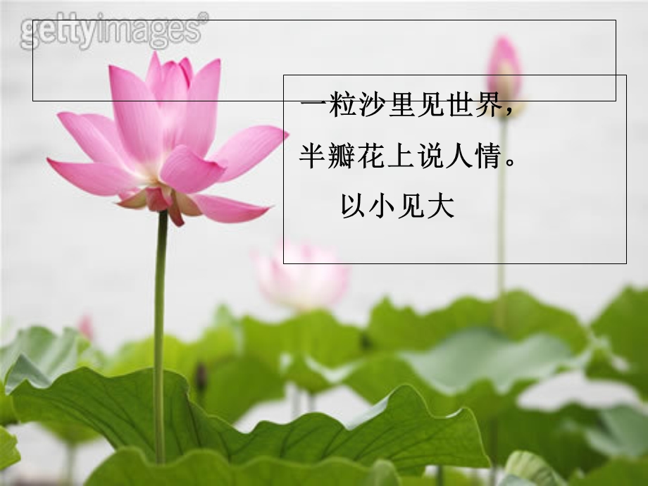 作文立意之大题小做.ppt_第2页