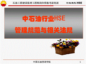 中石油监理工程师取证培训课件 HSE法规.ppt