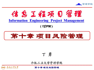 信息工程项目管理-第十章 项目风险.ppt