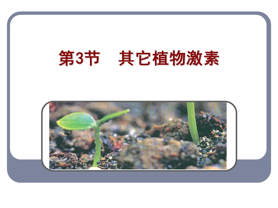 人教版教学课件其它植物激素课件.ppt_第2页