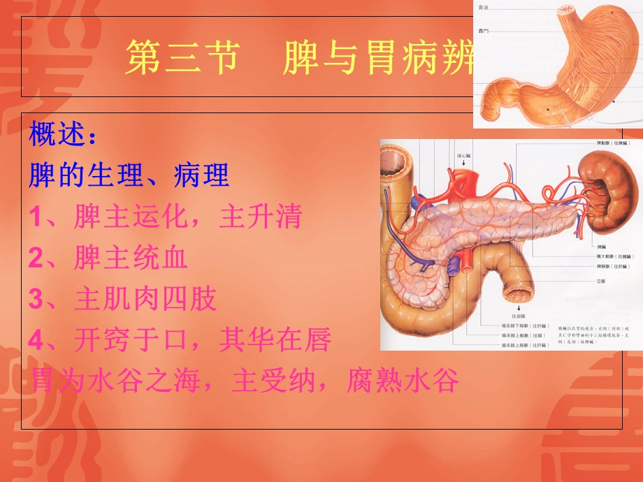 中医诊断学第五章脏腑辨证(三脾与胃).ppt_第1页