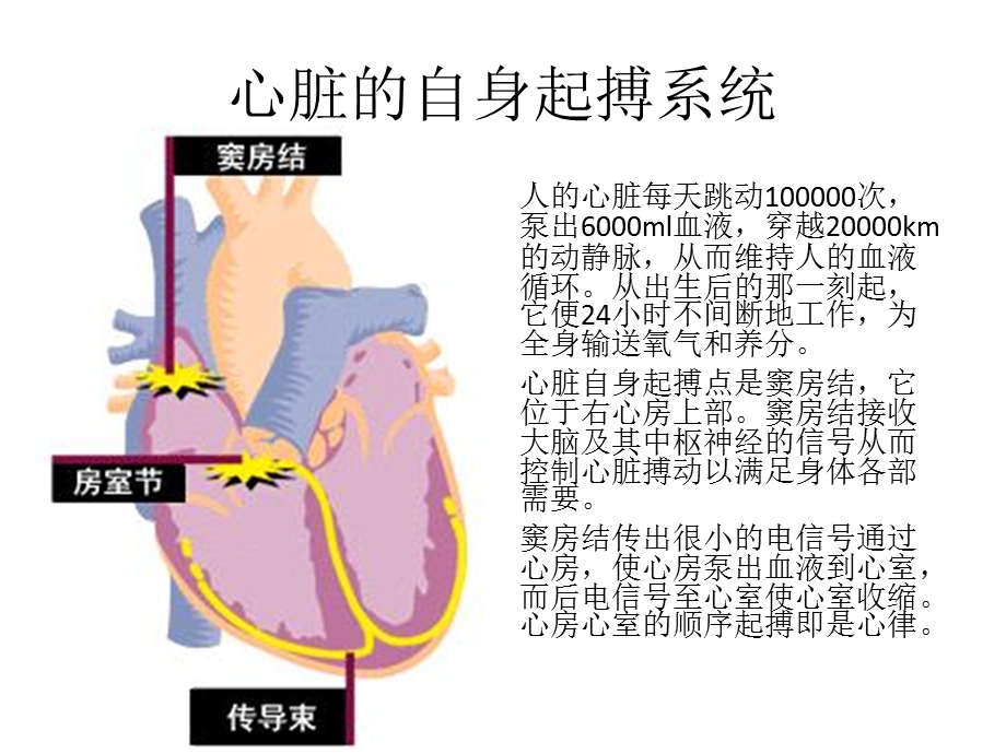 人工心脏起搏器的随访患者教育.ppt_第2页