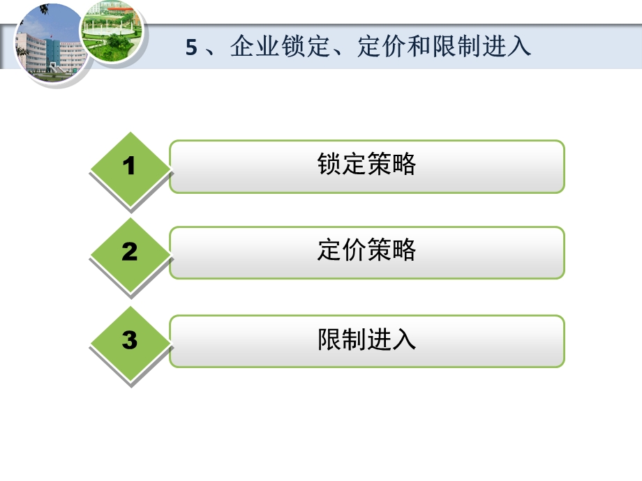 企业锁定、定价和限制进入.ppt_第2页