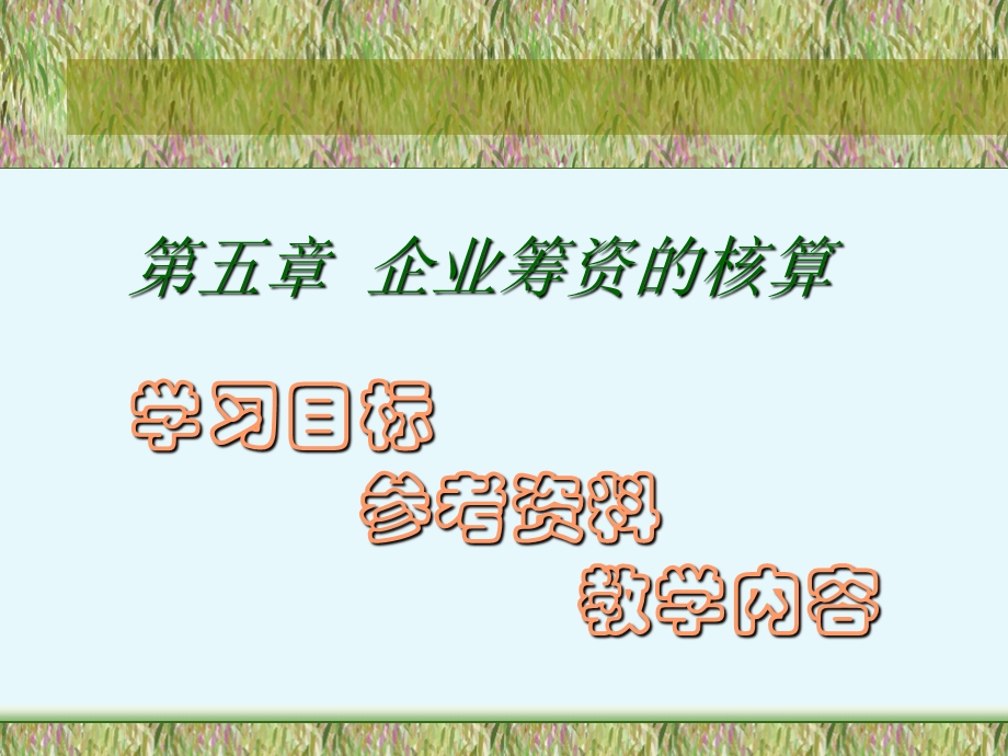 企业筹资的核算.ppt_第1页