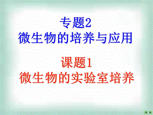 人教版教学课件专题2-课题1-微生物的实验室培养.ppt