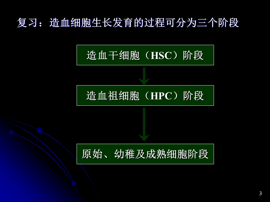 临床血液学检验-1-2-各系血细胞及检验.ppt_第3页