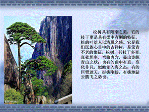 五年级美术学画松树.ppt