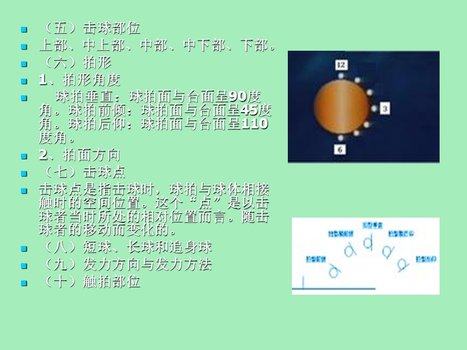 乒乓球运动的理论基础.ppt_第3页