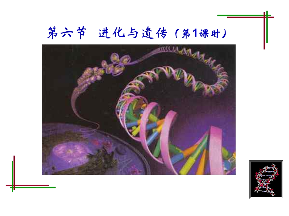 九年级科学遗传和变异.ppt_第1页