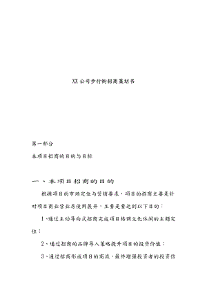 xx公司步行街招商项目策划书.doc