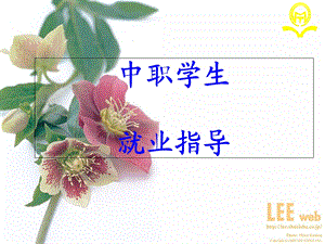 中职学生就业指导.ppt