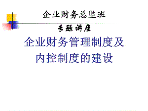 企业财务内控制度设计和构架.ppt