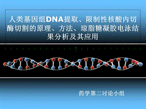 人类基因组DNA提取.ppt