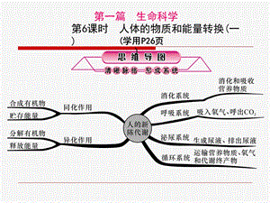 人体的物质和能量转换(一).ppt