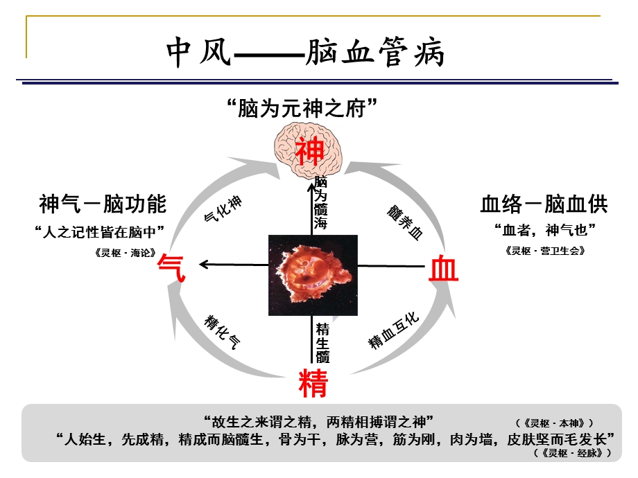 中西医结合治疗脑梗死的策略.ppt_第2页