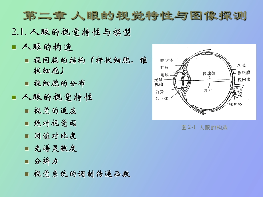 人眼的视觉特性与图像探测.ppt_第2页