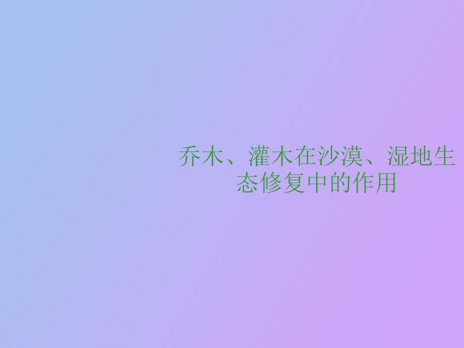 乔木灌木在沙漠.ppt_第1页