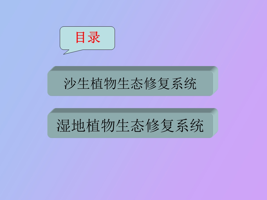 乔木灌木在沙漠.ppt_第2页