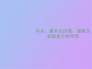 乔木灌木在沙漠.ppt