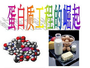 优优蛋白质工程的崛起ppt(讲课).ppt