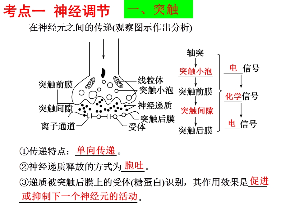 专题五神经调节和体液调节(高三二轮复习).ppt_第2页