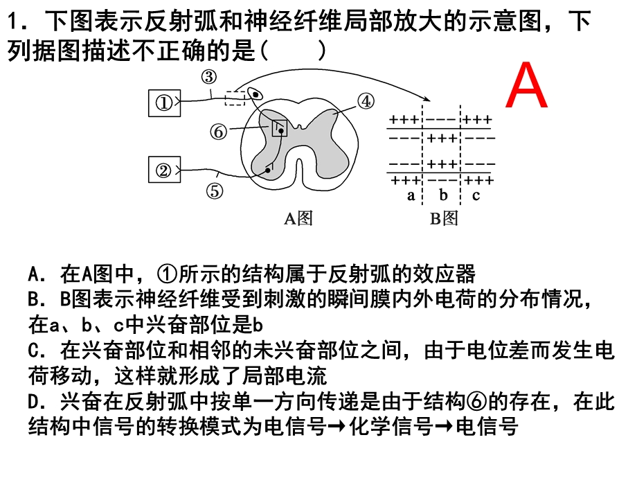 专题五神经调节和体液调节(高三二轮复习).ppt_第3页