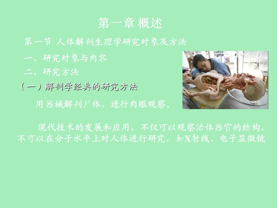 人体基本结构概述.ppt_第3页