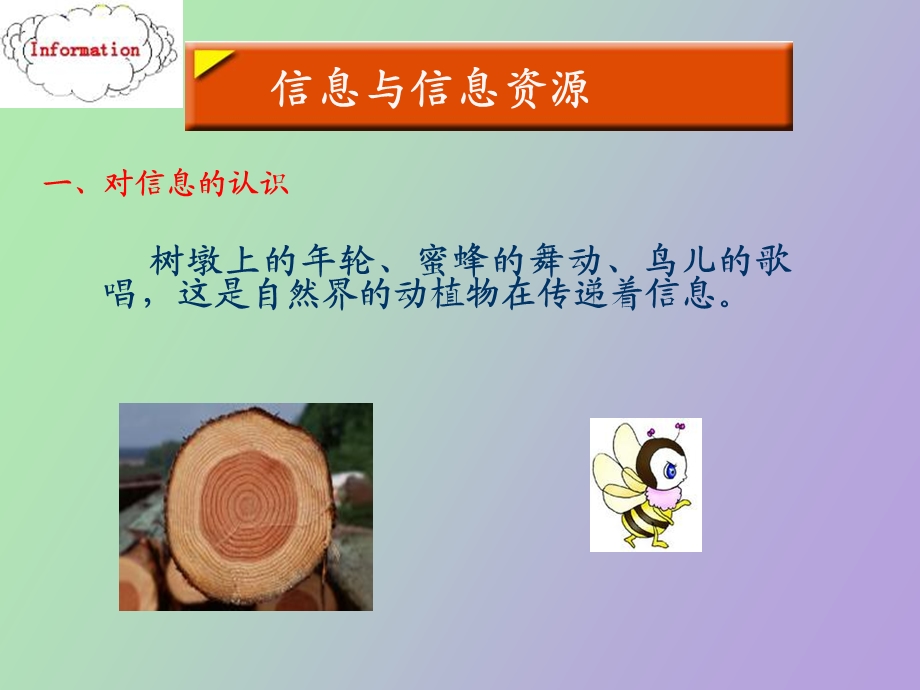 信息存储与检索.ppt_第3页