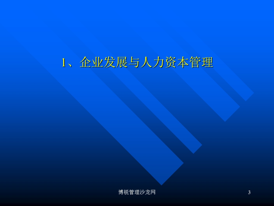 企业发展中的人才管理.ppt_第3页